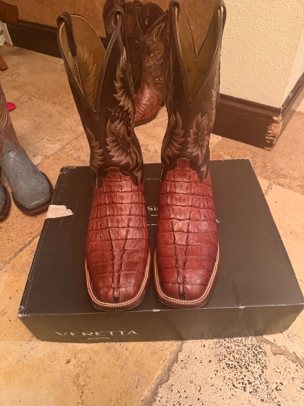 Lucchese Brown Caiman -Textured Western Boots with Dark Embroidered Shaft